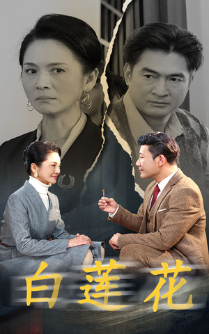 白莲花（40集）火爆短剧来袭