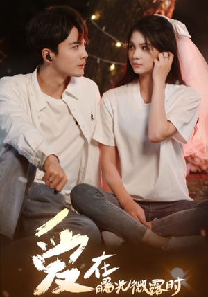 爱在曙光微露时（49集）我全都看完了