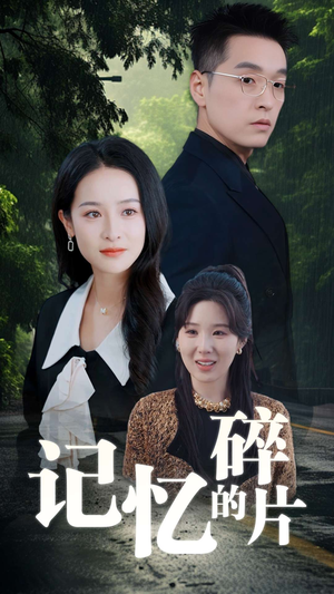记忆的碎片（50集）全集免费观看