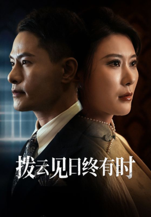 拨云见日终有时（30集）真的太好看了