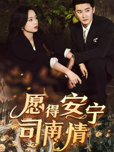 愿得安宁司南情（76集）在线看免费版
