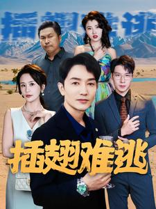 插翅难逃（43集）全剧看到大结局