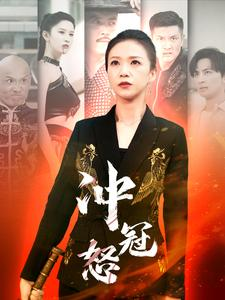 冲冠怒（93集）短剧小说在线看