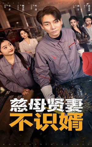 慈母贤妻不识婿（45集）好看短剧推荐