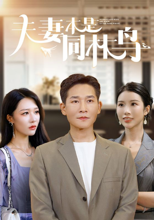 夫妻本是同林鸟（76集）短剧太好看了吧