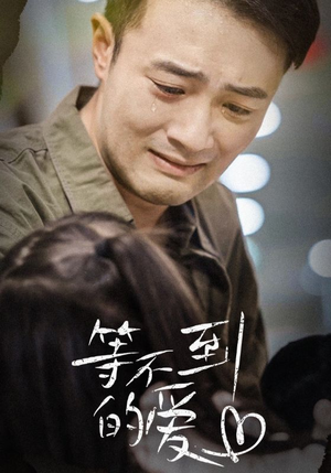 等不到的爱（40集）短剧在哪个平台