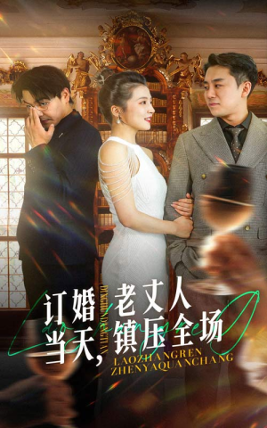 订婚当天，老丈人镇压全场（29集）超火热门短剧