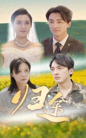 归途（52集）一起追生活短剧