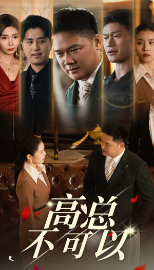 高总不可以（45集）在哪看是免费的