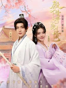 殿下请许以深情（80集）短剧解说全集