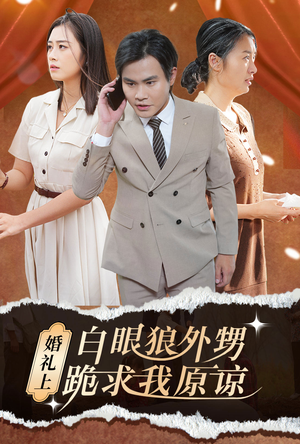 婚礼上白眼狼外甥跪求我原谅（35集）网络小短剧