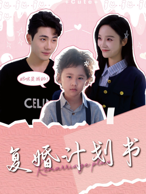 复婚计划书（96集）最火短剧推荐