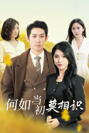 何如当初莫相识(36集) 何如当初莫相识(36集)贝贝短剧分享