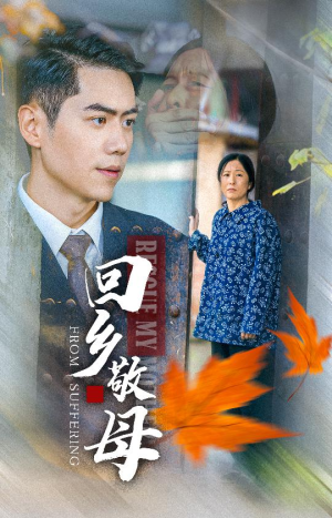 回乡敬母（43集）免费看