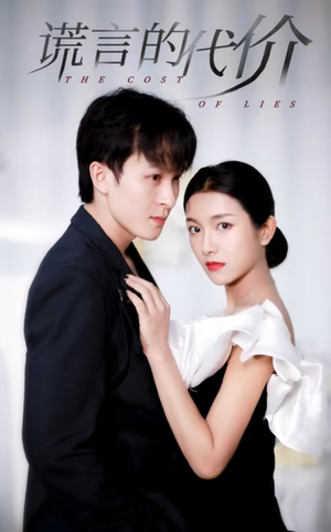 谎言的代价（30集）免费在线看