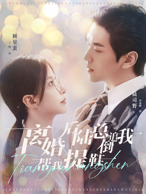 离婚后陆总倒追我帮我提鞋（100集）完整版免费观看