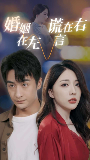 婚姻在左谎言在右（79集）推荐你们也去看