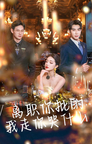 离职你批的，我走你哭什么（30集）最热短剧推荐