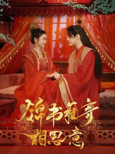 锦书难寄相思意（97集）经典老剧免费看