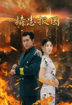 精忠报国（61集）零花钱看整部剧