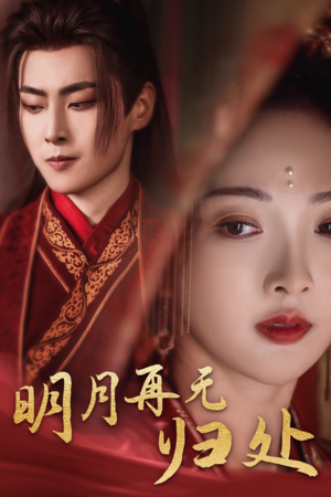 明月再无归处（39集）观看软件