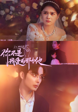你不是我爱的那个他（54集）最新热剧免费看