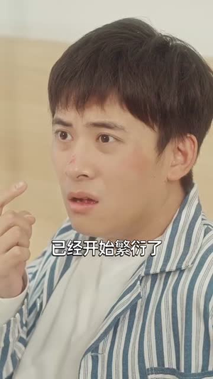 女秘书的邀请（30集）精彩热门短剧