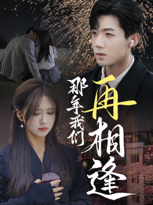 那年我们再相逢（65集）短视频追剧推荐