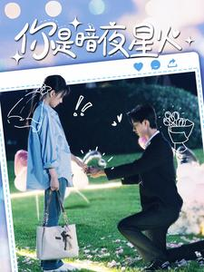 你是暗夜星火（120集）免费短剧大全