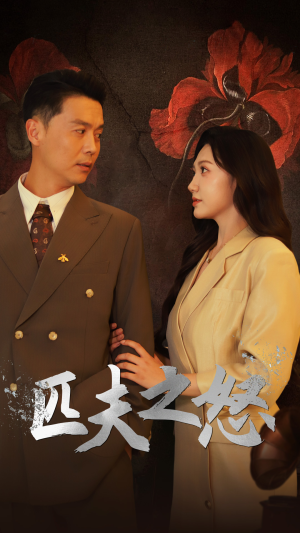 匹夫之怒（48集）观看软件