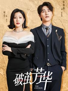 破茧芳华（80集）这部短剧太好看