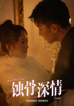 蚀骨深情（54集）精彩短剧看不停
