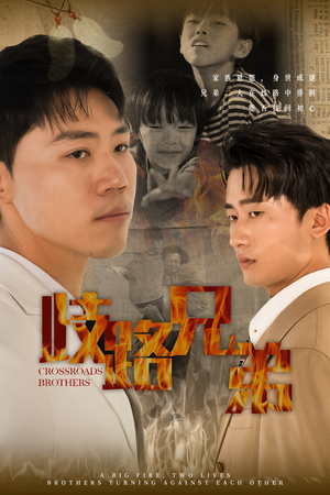 歧路兄弟（63集）爆款短剧推荐