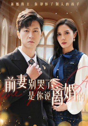 前妻别哭了，是你说离婚的（42集）每日短剧分享