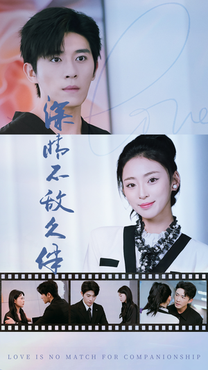 深情不敌久伴（50集）百亿短剧抢先看