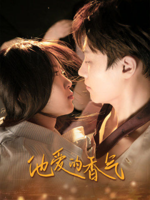 他爱的香气（81集）全集在线看