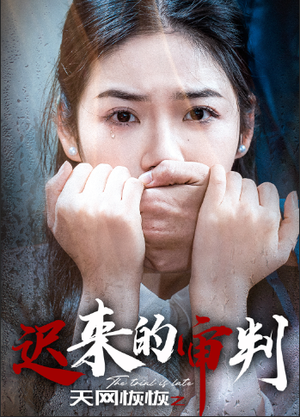 天网恢恢之迟来的审判（31集）全集我都看完了