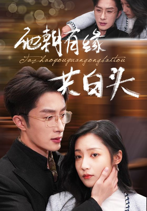 他朝有缘共白头（63集）短剧解说热门