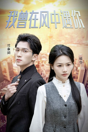 我曾在风中遇你(30集) 我曾在风中遇你(30集)今日最火短剧