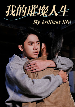 我的璀璨人生（81集）排行榜前十短剧