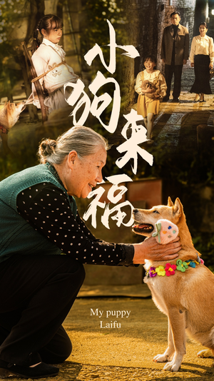 小狗来福（30集）红果免费短剧