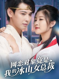 网恋对象竟是我的冰山女总裁（54集）短剧在哪个平台