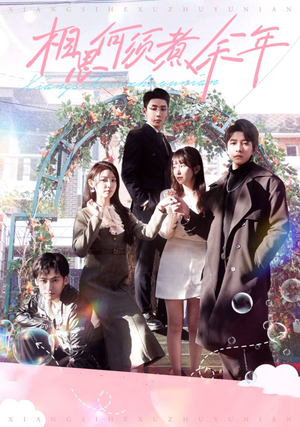 相思何须煮余年（33集）全集完整版