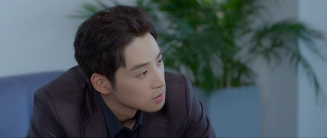 向北的遗憾（20集）全网独播免费看