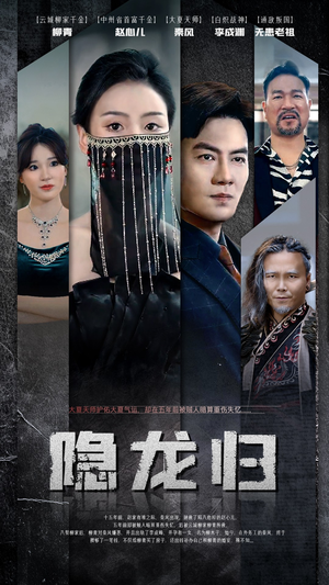 隐龙归（80集）热门短剧排行榜