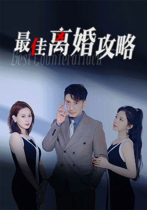 最佳离婚攻略(31集) 最佳离婚攻略(31集)热门短剧推荐