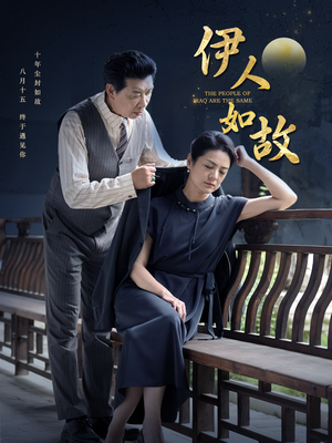 伊人如故（95集）短剧每日分享