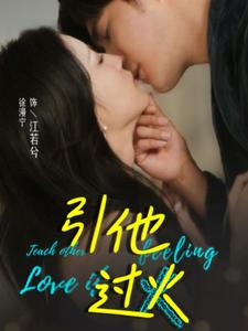 引他过火(40集) 引他过火(40集)抢先看热门短剧