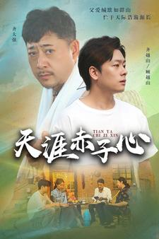 天涯赤子心（60集）短剧小说在线看