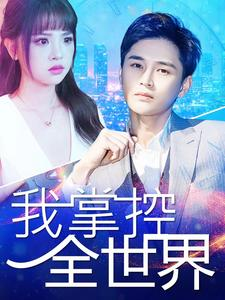 我掌控全世界（100集）在线免费观影